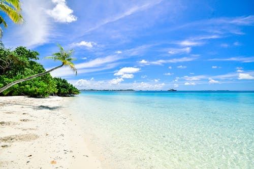 White sand beach with clear blue water