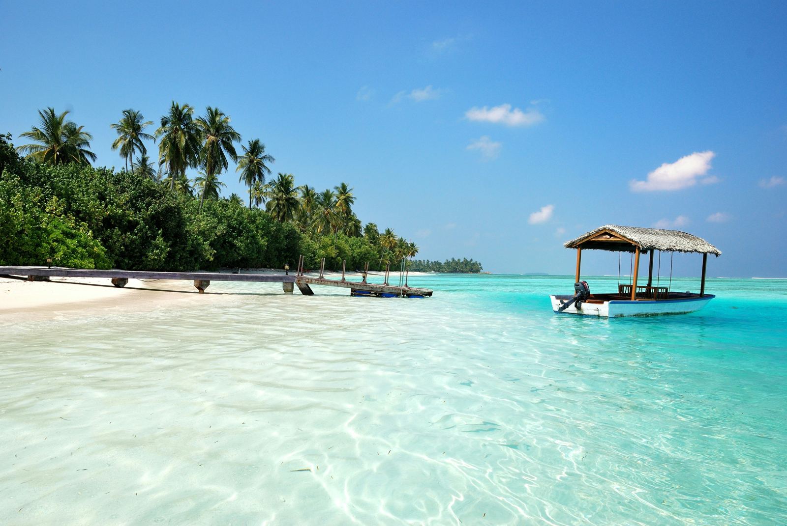 Turquoise lagoon with palm trees and a wooden boat